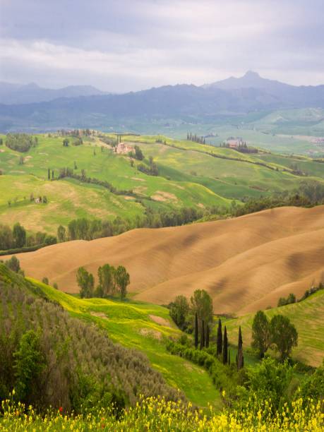 istock green hills in Tuscany 1203371996