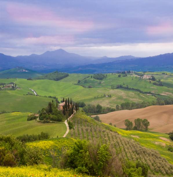 istock green hills in Tuscany 1203372001