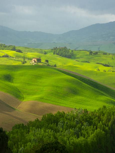 istock green hills in Tuscany 1203372004