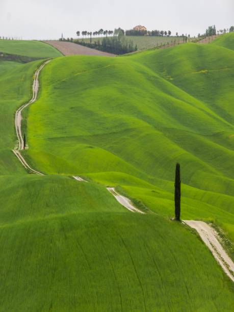 istock green hills in Tuscany 1203372033