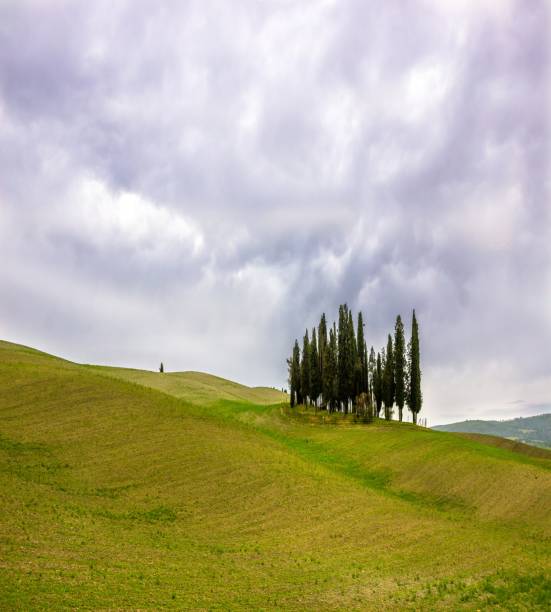 istock green hills in Tuscany 1203372040