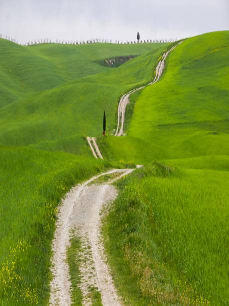 istock green hills in Tuscany 1203372117