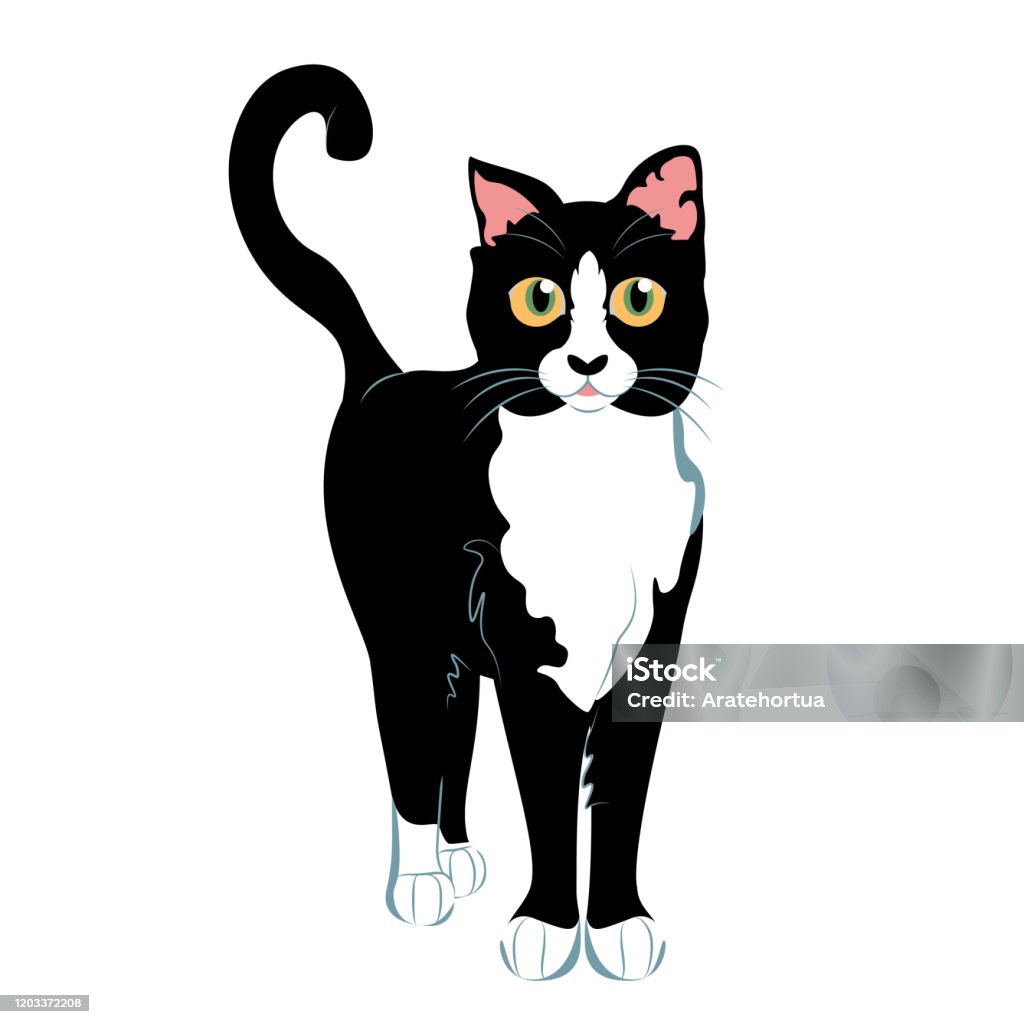 Phim Hoạt Hình Dễ Thương Mèo Đen Trắng Minh Họa Bị Cô Lập Hình ...