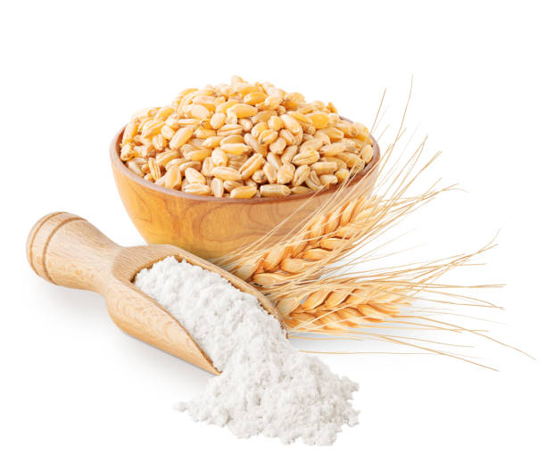 istock Wheat flour grains and ears isolated on white 1203373371