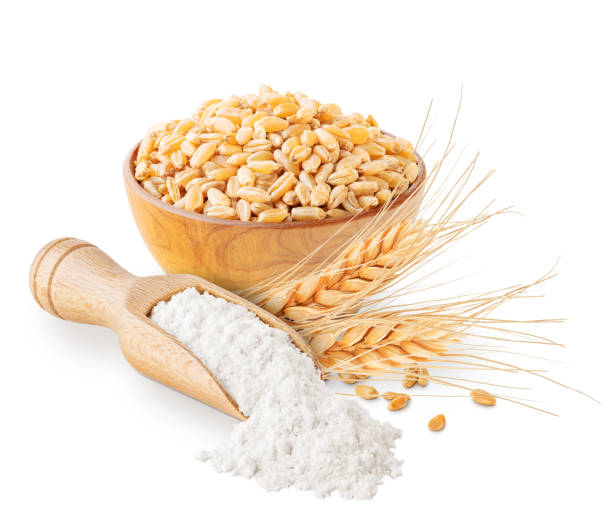 istock Wheat flour grains and ears isolated on white 1203373408