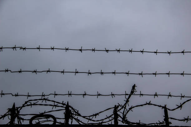 istock barbed wire fence on against grey sky background. 1203374328