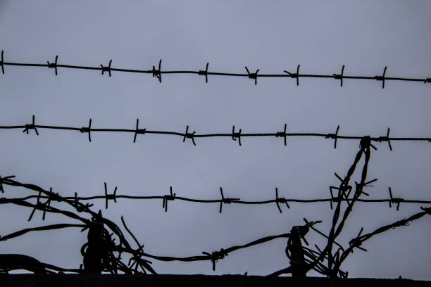 istock barbed wire fence on against grey sky background. 1203374357