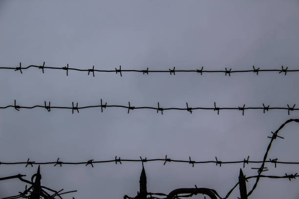 istock barbed wire fence on against grey sky background. 1203374458