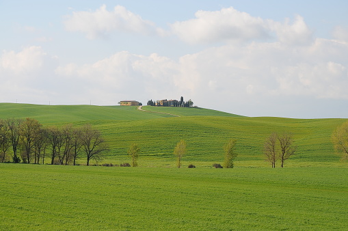 Beautiful landscape of Val D'orcia, Italy