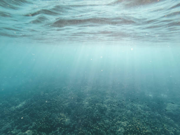istock the afternoon rays of light stream through the sea surface 1203377962