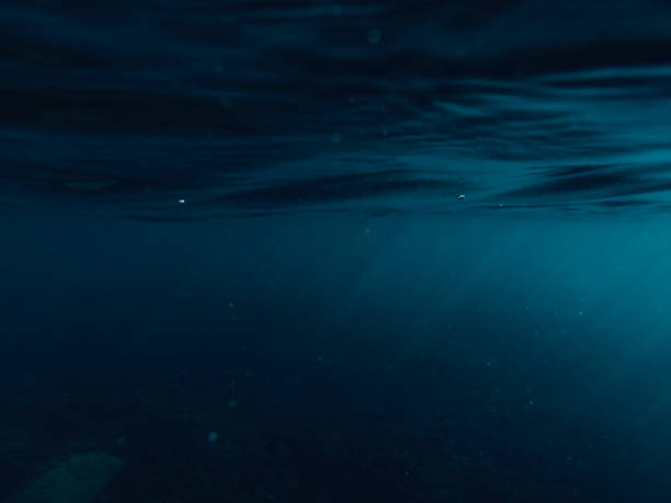 istock the afternoon rays of light stream through the sea surface 1203377968