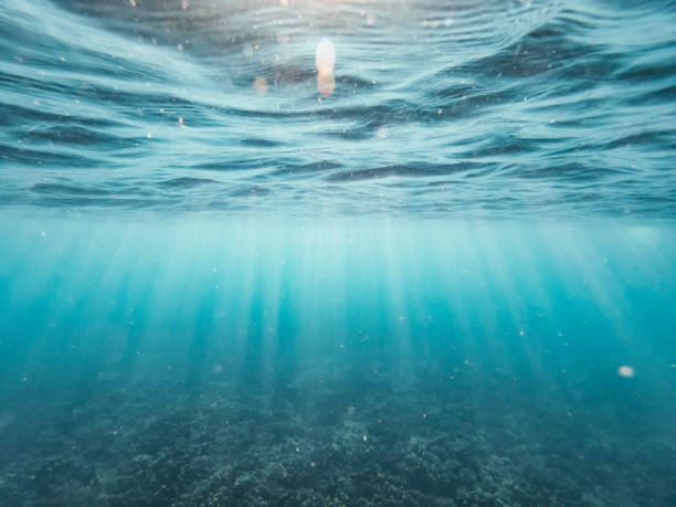 istock the afternoon rays of light stream through the sea surface 1203377976