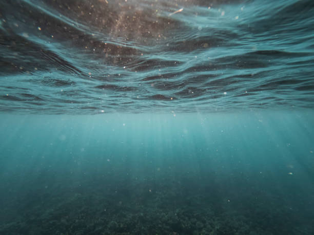 istock the afternoon rays of light stream through the sea surface 1203377980