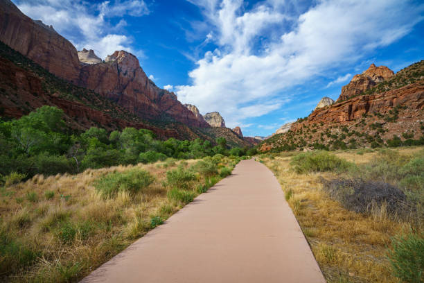 the watchman from parus trail in zion national park, usa the watchman from parus trail in zion national park in the usa boulder mountains stock pictures, royalty-free photos & images