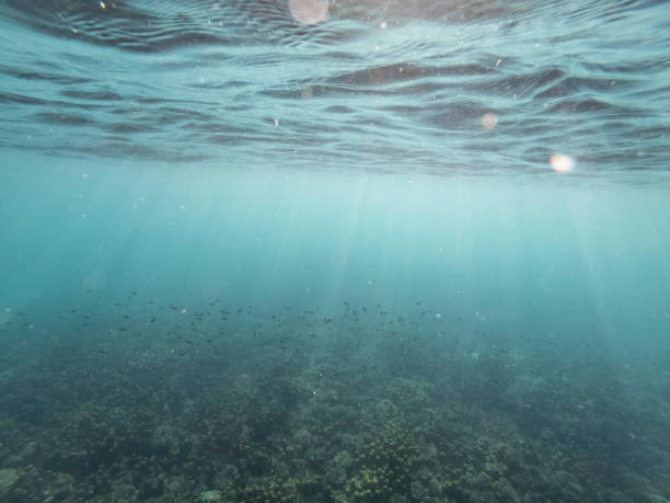 istock the afternoon rays of light stream through the sea surface 1203377999