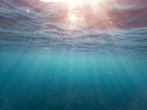 istock the afternoon rays of light stream through the sea surface 1203378002