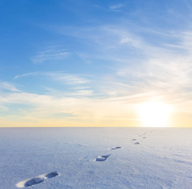 winter snowbound plain with human track at the sunset