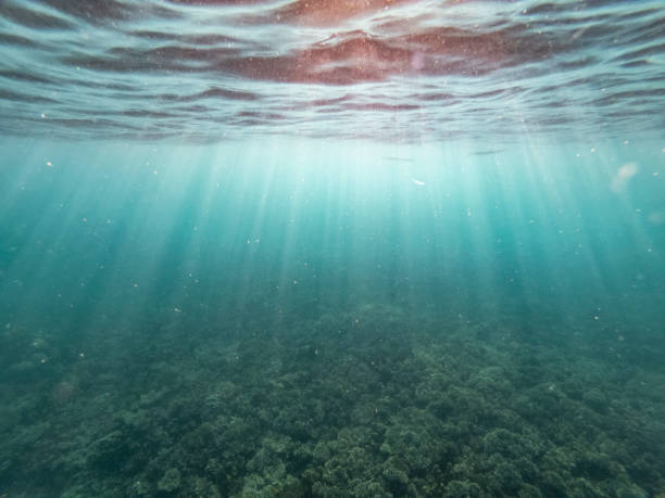 istock the afternoon rays of light stream through the sea surface 1203378028