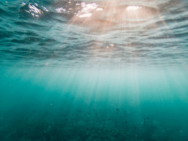 istock the afternoon rays of light stream through the sea surface 1203378035