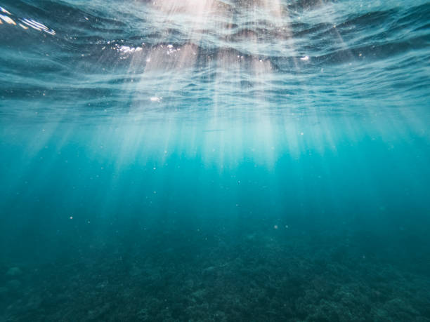istock the afternoon rays of light stream through the sea surface 1203378048
