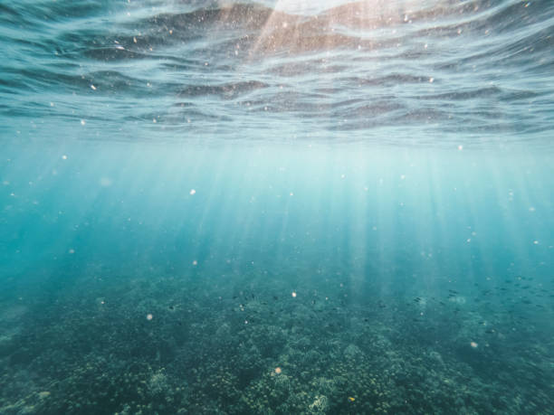 istock the afternoon rays of light stream through the sea surface 1203378080