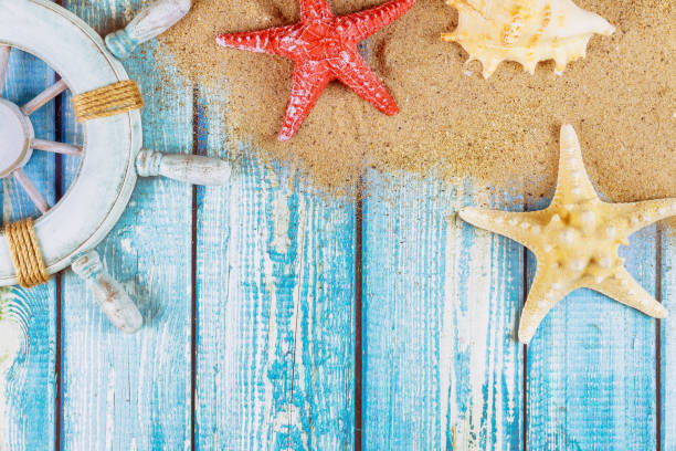 istock Decorative steering wheel with starfish, seashells on the sandy beach blue wood background 1203378170