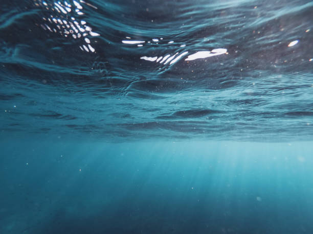 istock the afternoon rays of light stream through the sea surface 1203378235