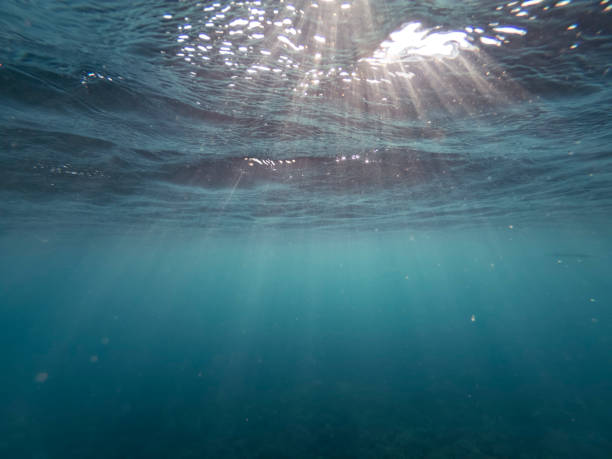 istock the afternoon rays of light stream through the sea surface 1203378254
