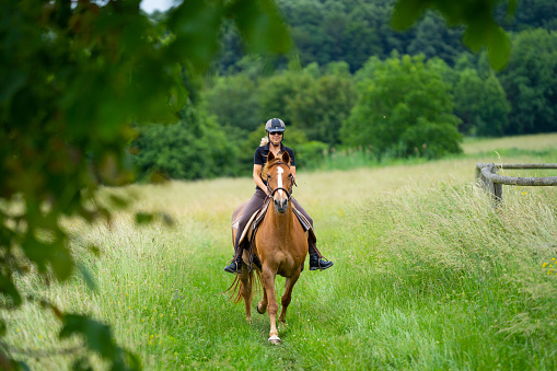 female rider riding beautiful sorrel colored horse outdoors in rural landscape green grassland with forest in background, view through trees