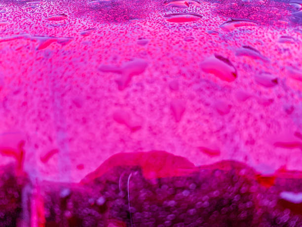 istock Coloured pink water droplets 1203382274