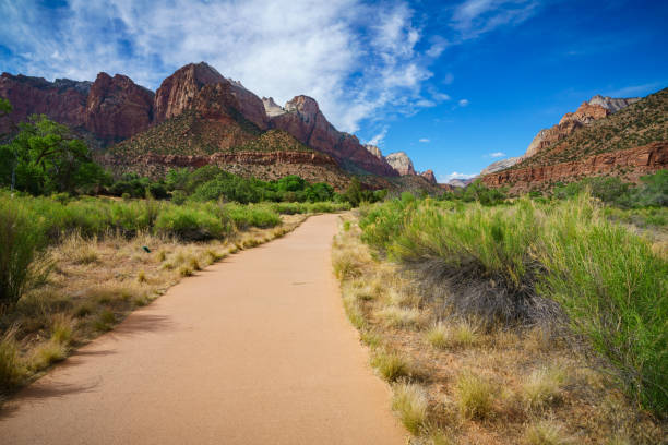 the watchman from parus trail in zion national park, usa the watchman from parus trail in zion national park in the usa boulder mountains stock pictures, royalty-free photos & images
