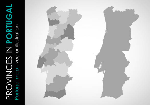 ilustrações de stock, clip art, desenhos animados e ícones de vector map of portugal and provinces gray - portugal