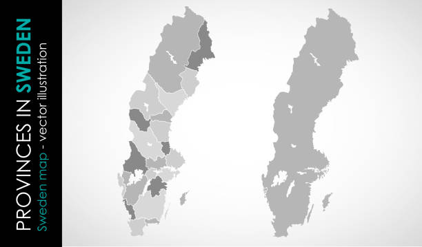 bildbanksillustrationer, clip art samt tecknat material och ikoner med vektorkarta över sverige provinsengrå färg - sweden