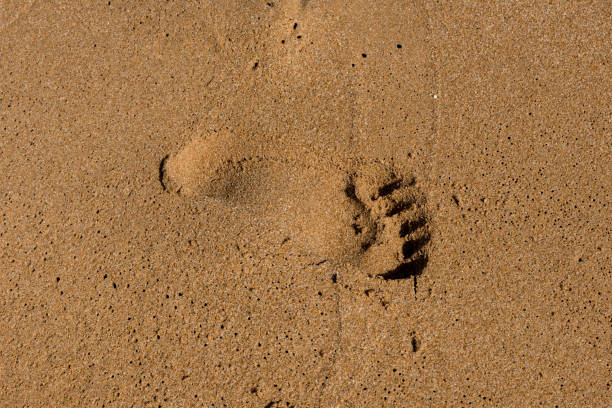 istock Footprints on the shore of the sea 1203388141