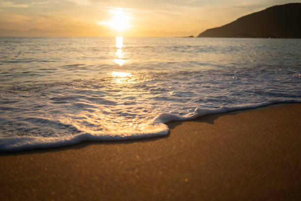 istock Beach Florianopolis, Santa Catarina 1203389001