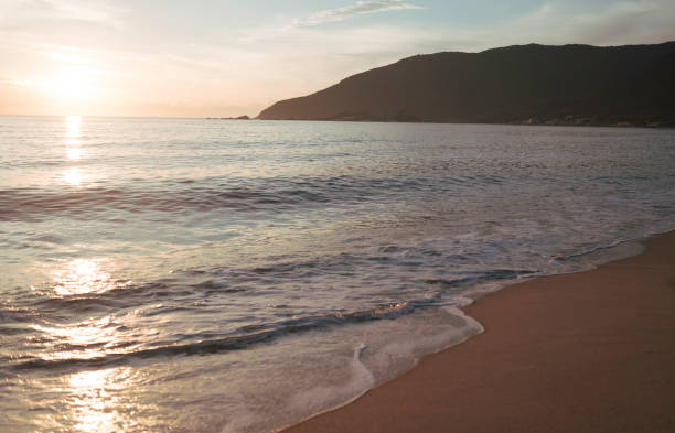 istock Beach Florianopolis, Santa Catarina 1203389018