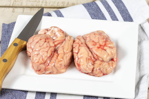 cerebros de cerdo - cerebelo fotografías e imágenes de stock