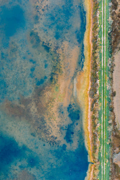 istock Salt fields and mineral lakes 1203392540