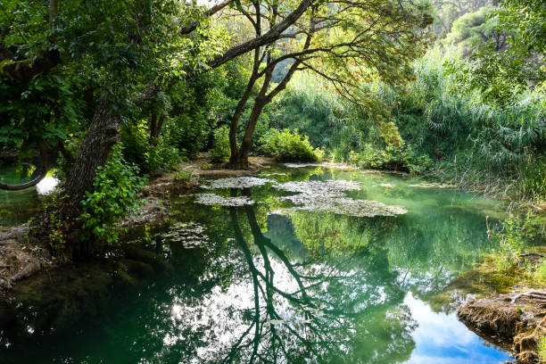 istock Krka National Park Croatia 1203392688