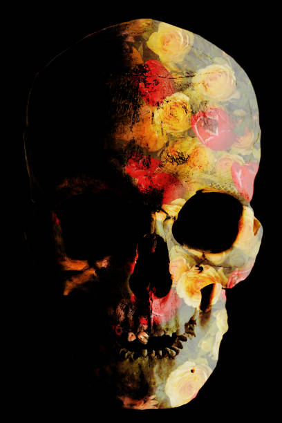 mexican scull decorated with flowers on shelf