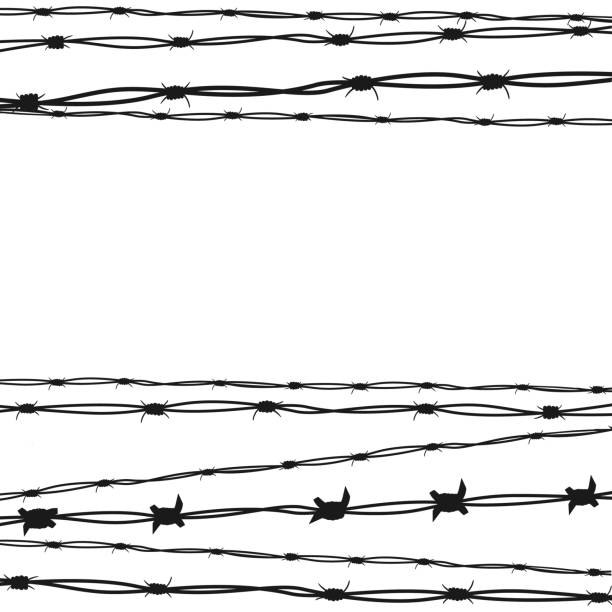 Wire barb vector background illustration. Wire barb vector background illustration. Protection concept design, vector silhouette graphic depicting strands of barbed wire holocaust stock illustrations