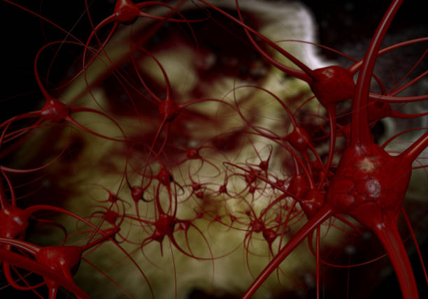istock 3d rendering of fantasy nerve cells 1203396236