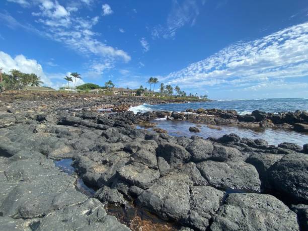 istock Kauai shoreline on a sunny day 1203396391