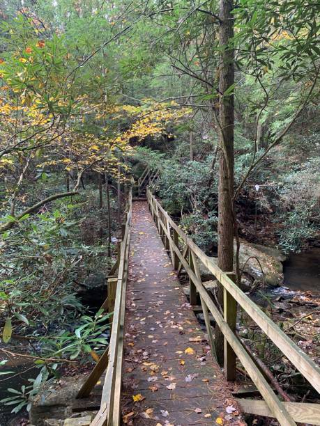 istock Bridge on hiking trail in Obed park 1203396687