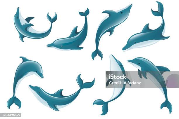 Set Of Blue Dolphin Cartoon Sea Animal Design Flat Vector Illustration  Isolated On White Background Stock Illustration - Download Image Now -  iStock