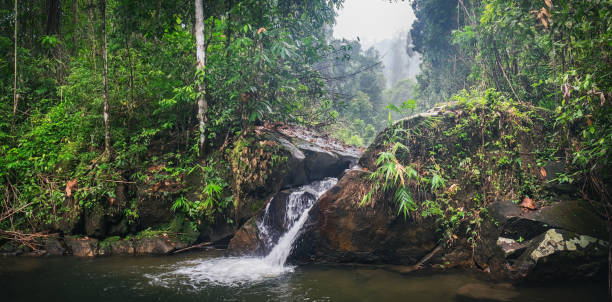istock Waterfall at Thai Khao Lak-Lam Ru National Park 1203398867