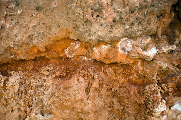 istock red limestone historic building wall texture as background 1203401325