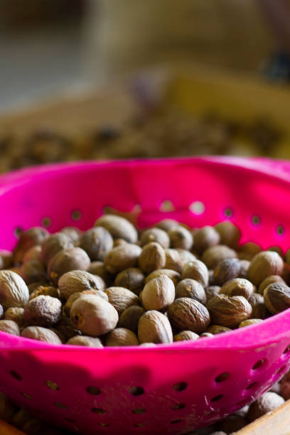 Basket of Nutmeg Nuts stock photo
