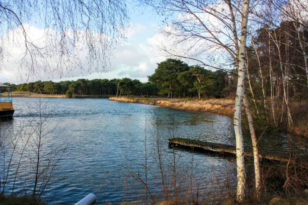 istock Trees on the water landscape 1203401466
