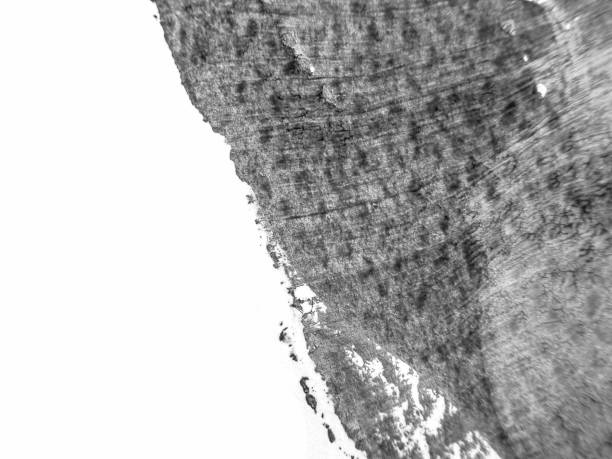 istock The black white acrylic painting texture background 1203402540